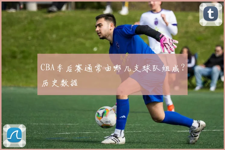 CBA季后赛通常由哪几支球队组成？历史数据