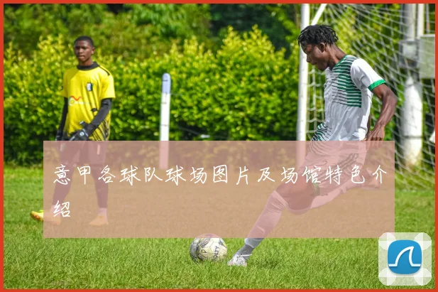 意甲各球队球场图片及场馆特色介绍
