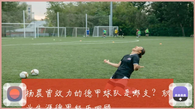 杨晨曾效力的德甲球队是哪支？职业生涯德甲经历回顾