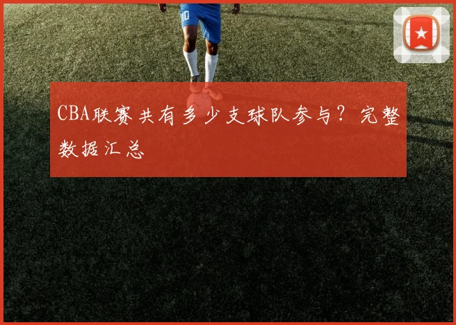 CBA联赛共有多少支球队参与？完整数据汇总