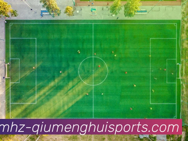 球盟会平台生态图